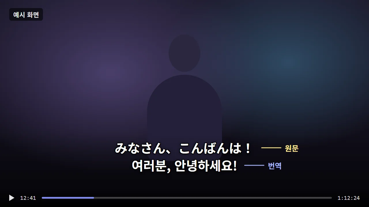플레이어에서 이중 자막을 연 예시 화면 — 윗줄은 일본어 원문, 아랫줄은 한국어 번역
